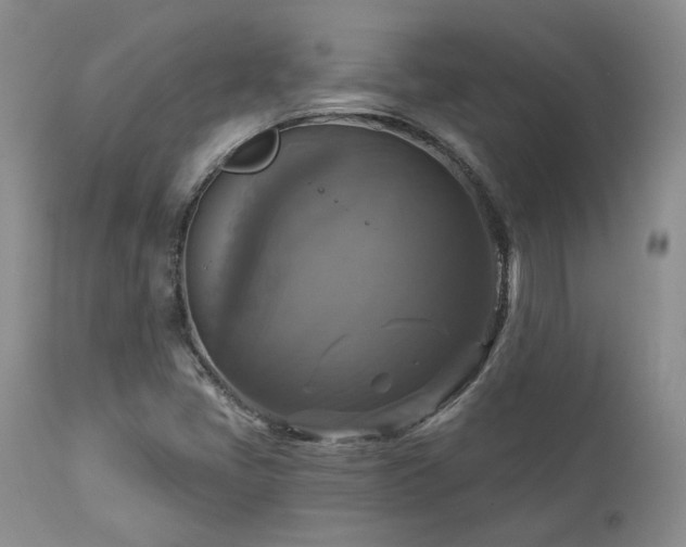 X0000113051405200908271519