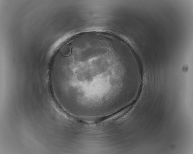 X0000113051406200908271519