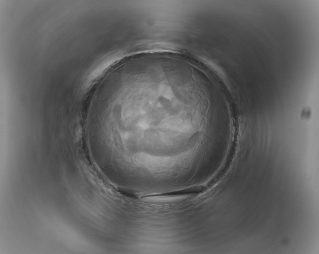 X0000113051407200908271519