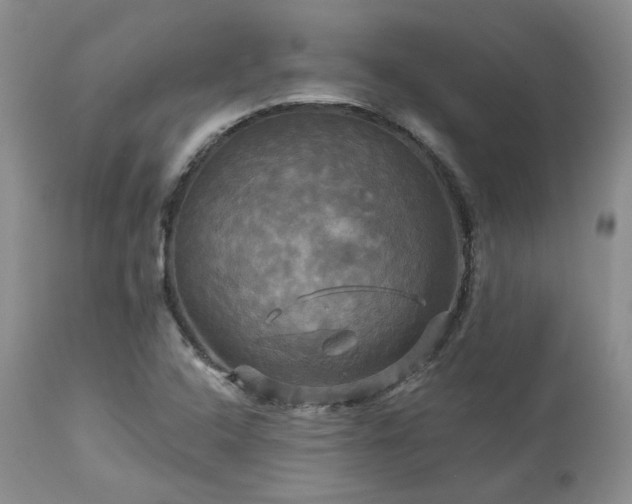 X0000113051408200908271519