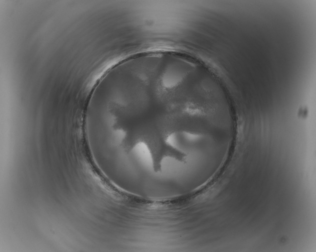 X0000113051409200908271519