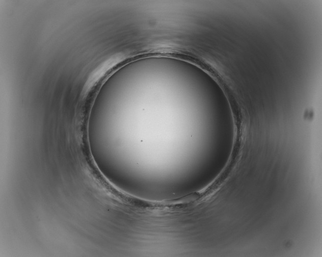 X0000113051410200908271519