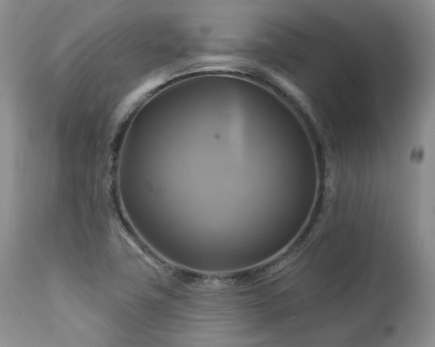 X0000113051411200908271519