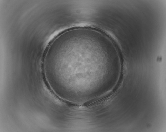 X0000113051412200908271519