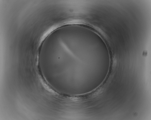 X0000113051413200908271519