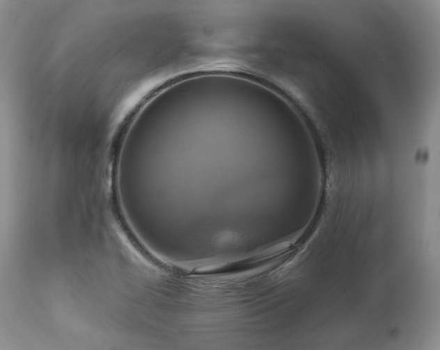 X0000113051414200908271519