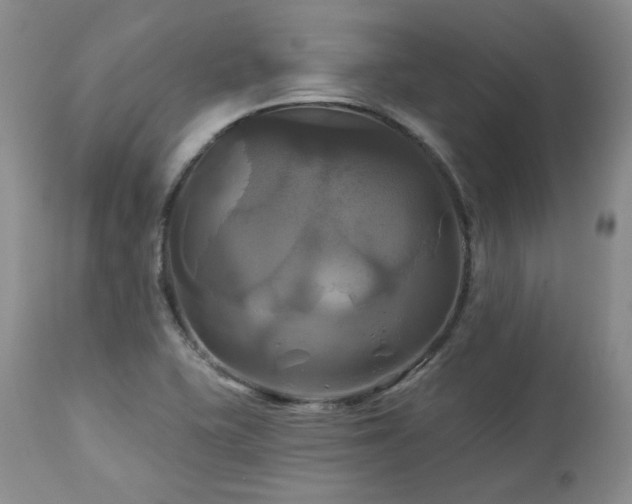X0000113051415200908271519