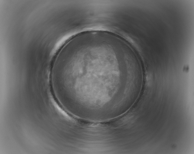 X0000113051416200908271519