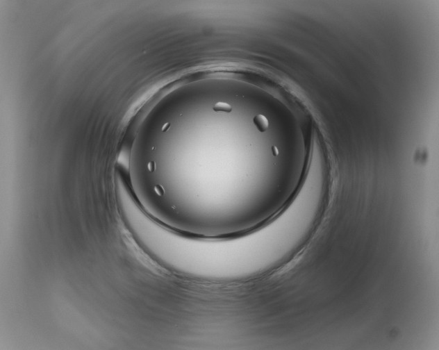 X0000113051417200908271519