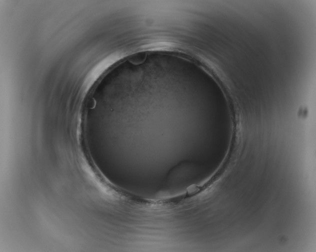 X0000113051418200908271519