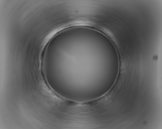 X0000113051419200908271519