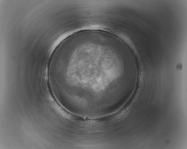 X0000113051420200908271519