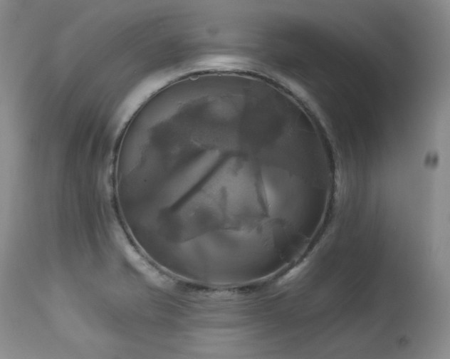 X0000113051421200908271519