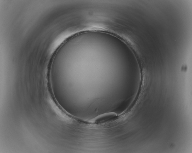 X0000113051422200908271519