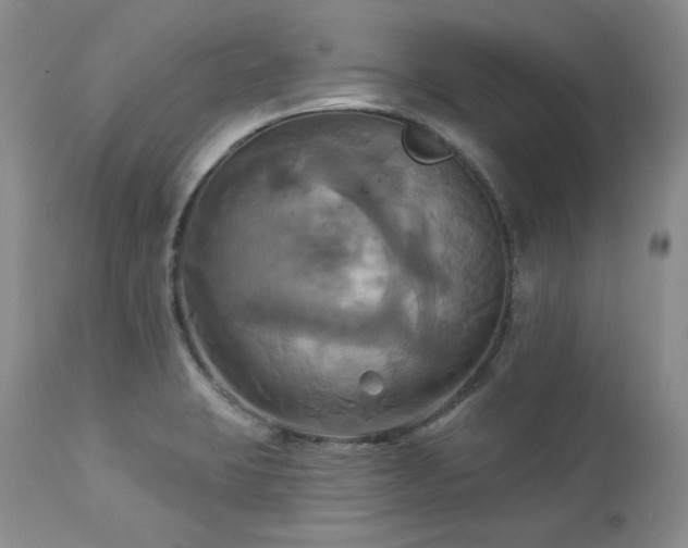 X0000113051423200908271519