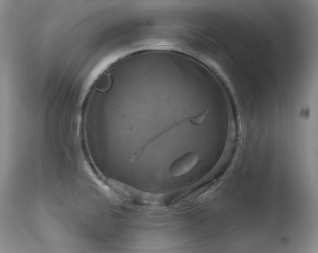 X0000113051424200908271519