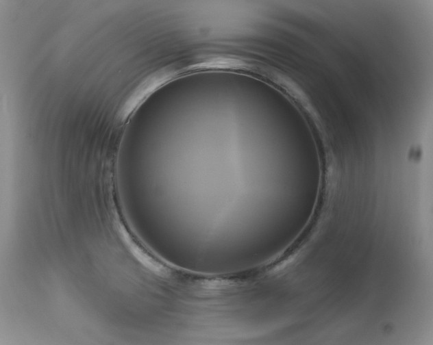 X0000113051425200908271519