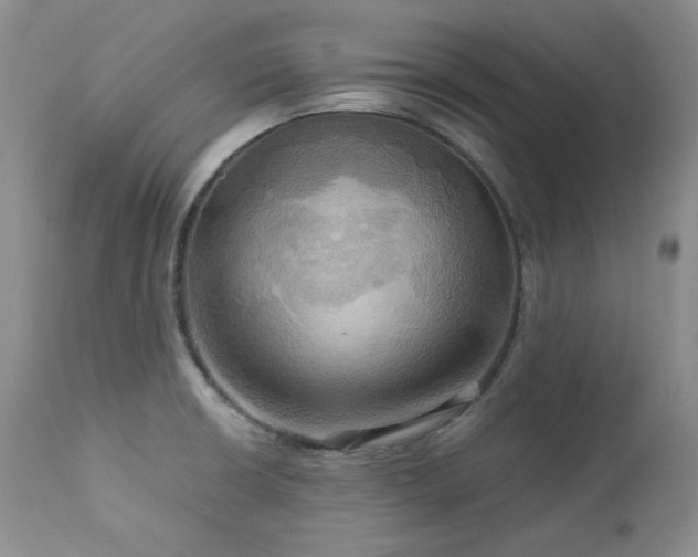 X0000113051426200908271519