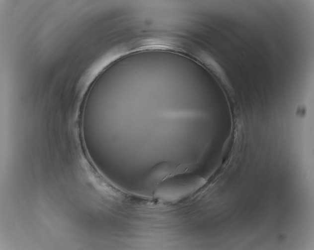 X0000113051427200908271519