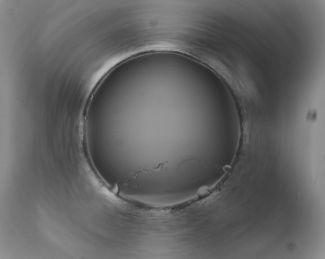 X0000113051428200908271519