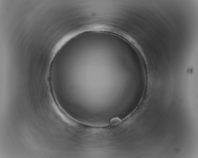 X0000113051429200908271519