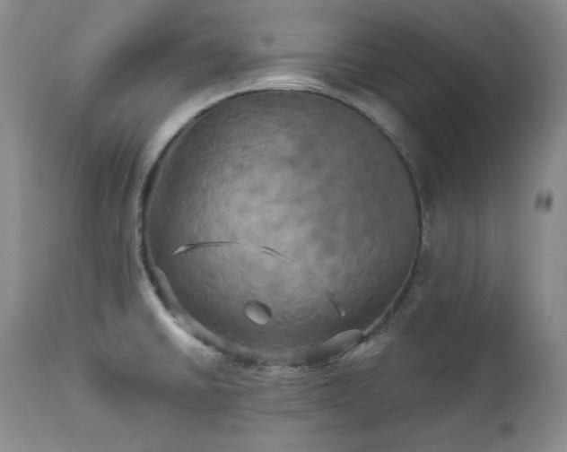 X0000113051430200908271519