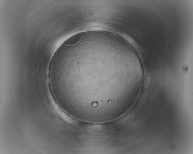 X0000113051431200908271519