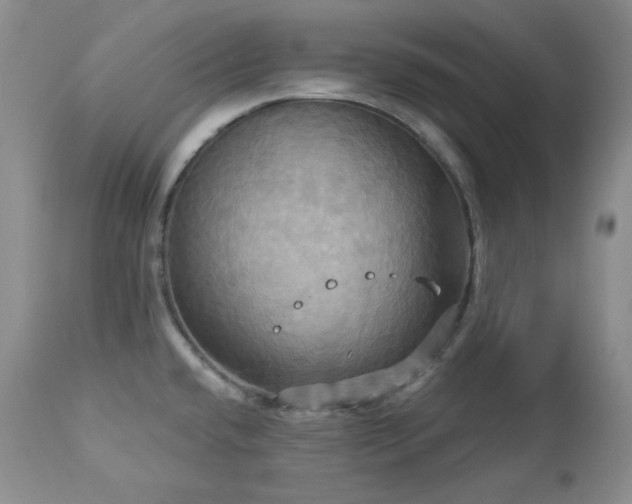 X0000113051432200908271519