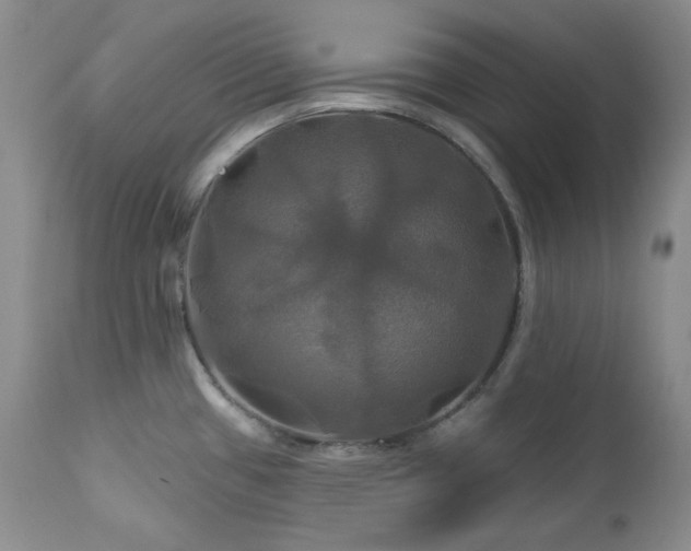 X0000113051433200908271519