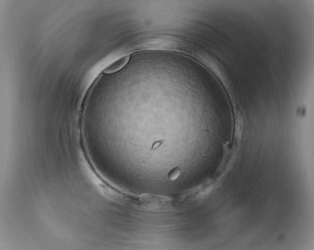 X0000113051434200908271519