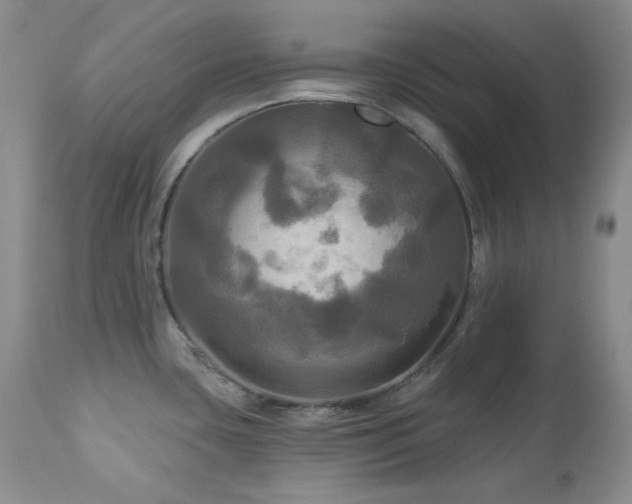 X0000113051435200908271519