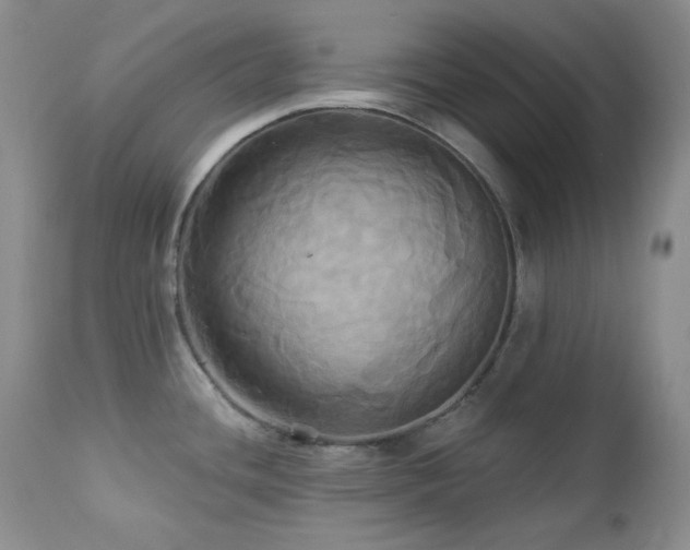 X0000113051436200908271519