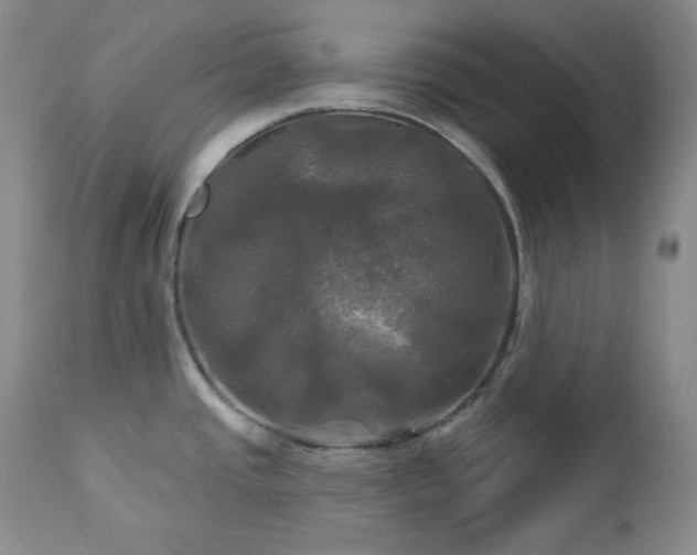 X0000113051437200908271519