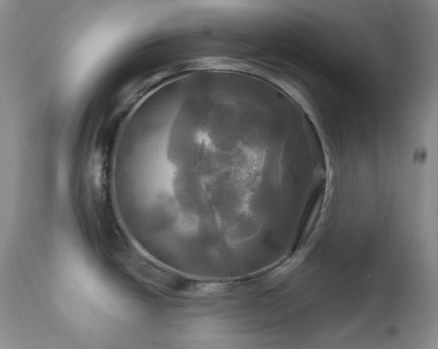 X0000113051438200908271519
