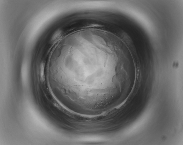 X0000113051439200908271519