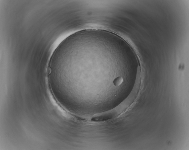 X0000113051440200908271519