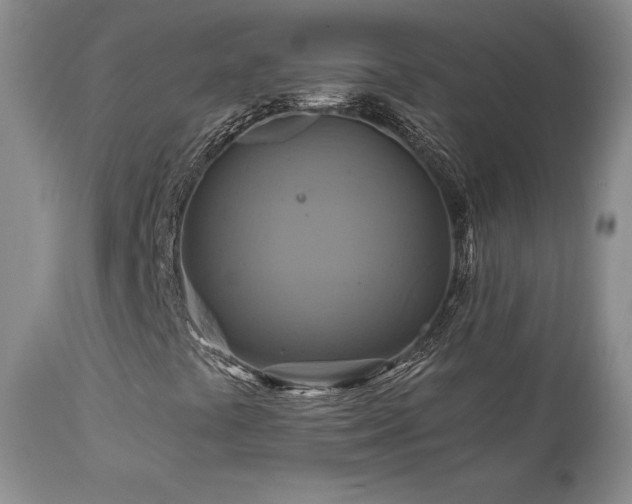 X0000113051441200908271519
