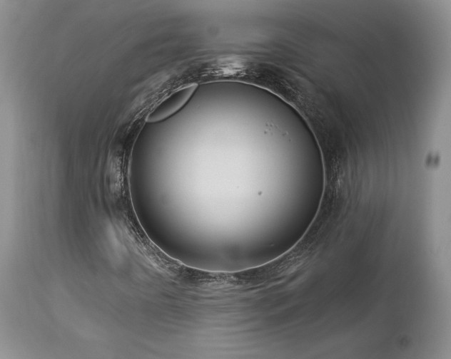 X0000113051442200908271519