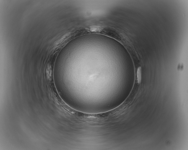 X0000113051443200908271519