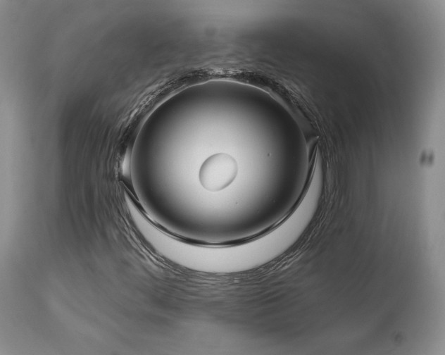 X0000113051444200908271519