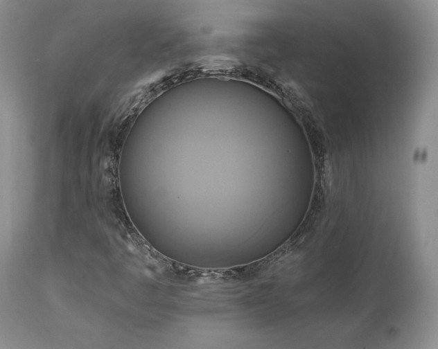 X0000113051445200908271519