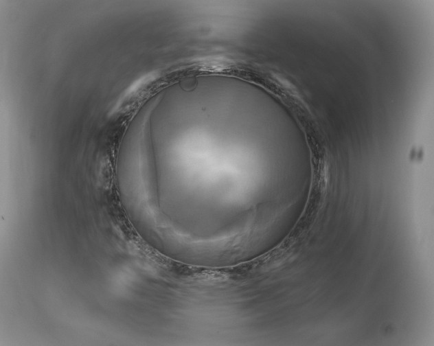 X0000113051446200908271519