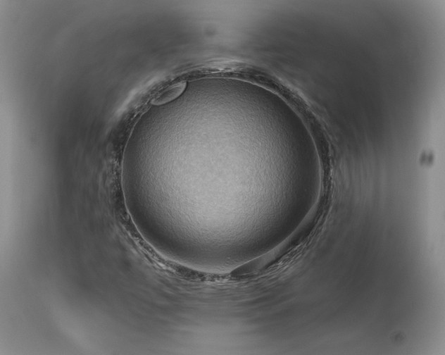 X0000113051447200908271519