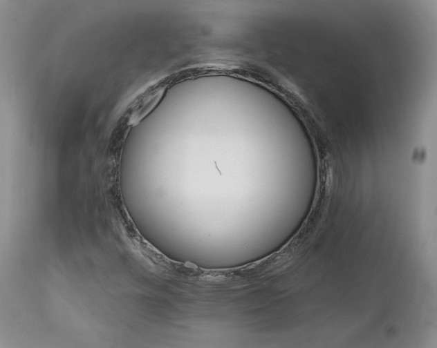 X0000113051448200908271519