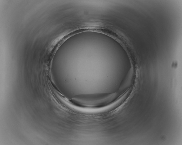 X0000113051449200908271519