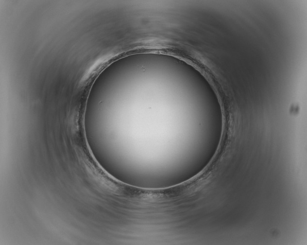 X0000113051451200908271519