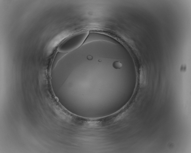X0000113051453200908271518