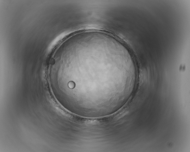 X0000113051454200908271518