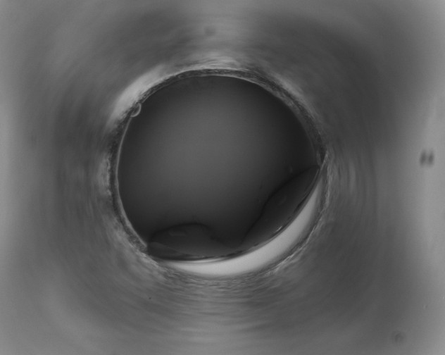 X0000113051455200908271518
