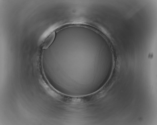 X0000113051456200908271518